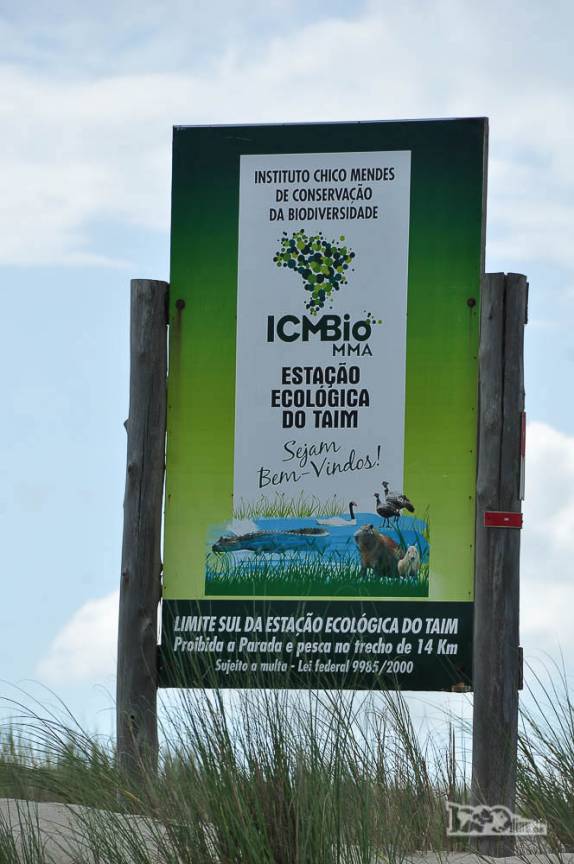 Passando ao largo da Estação Ecológica do Taim, na Praia do Cassino, entre Chuí e Rio Grande, no Rio Grande do Sul